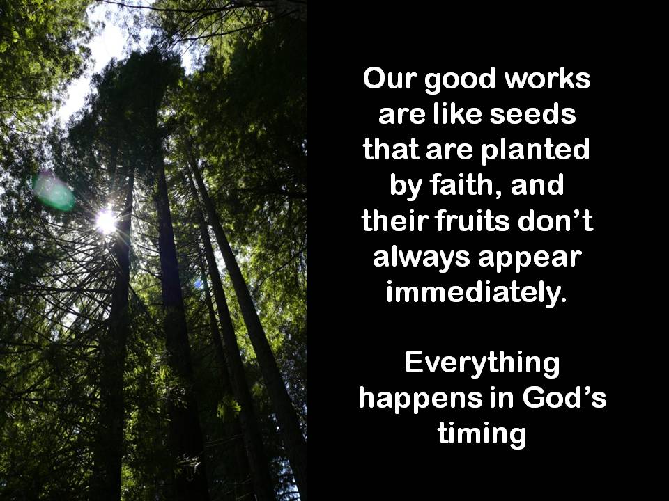 Empowered Bible Study Ministries God s Timing Is Always Perfect 