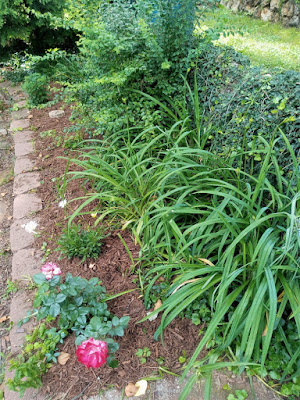 Yard and Garden Secrets Mulch Benefits photo by sgolis