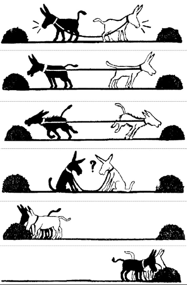 Polarização e Asno de Buridan