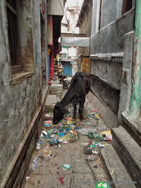 Problemas bizarros: como passar?