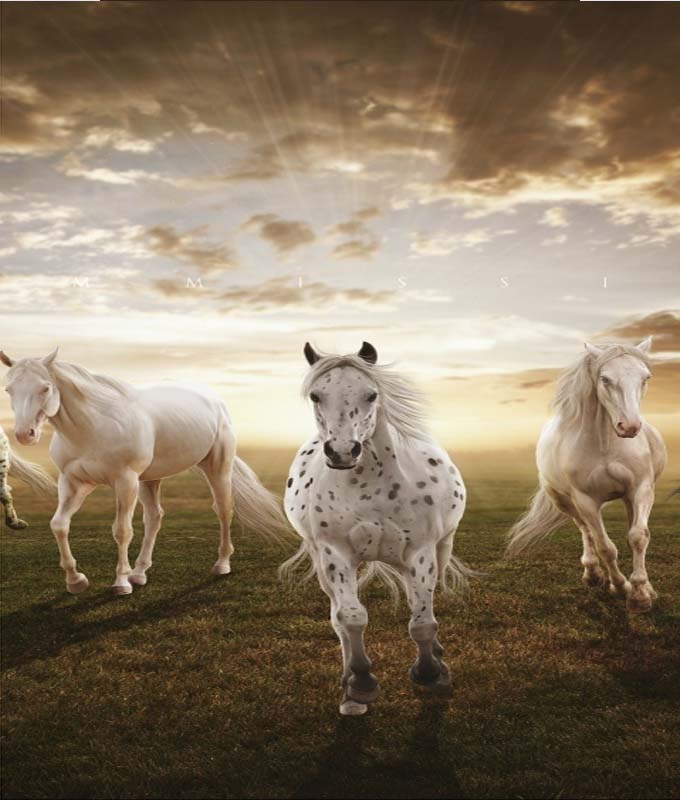 Mix wallpapers Allfreshwallpaper