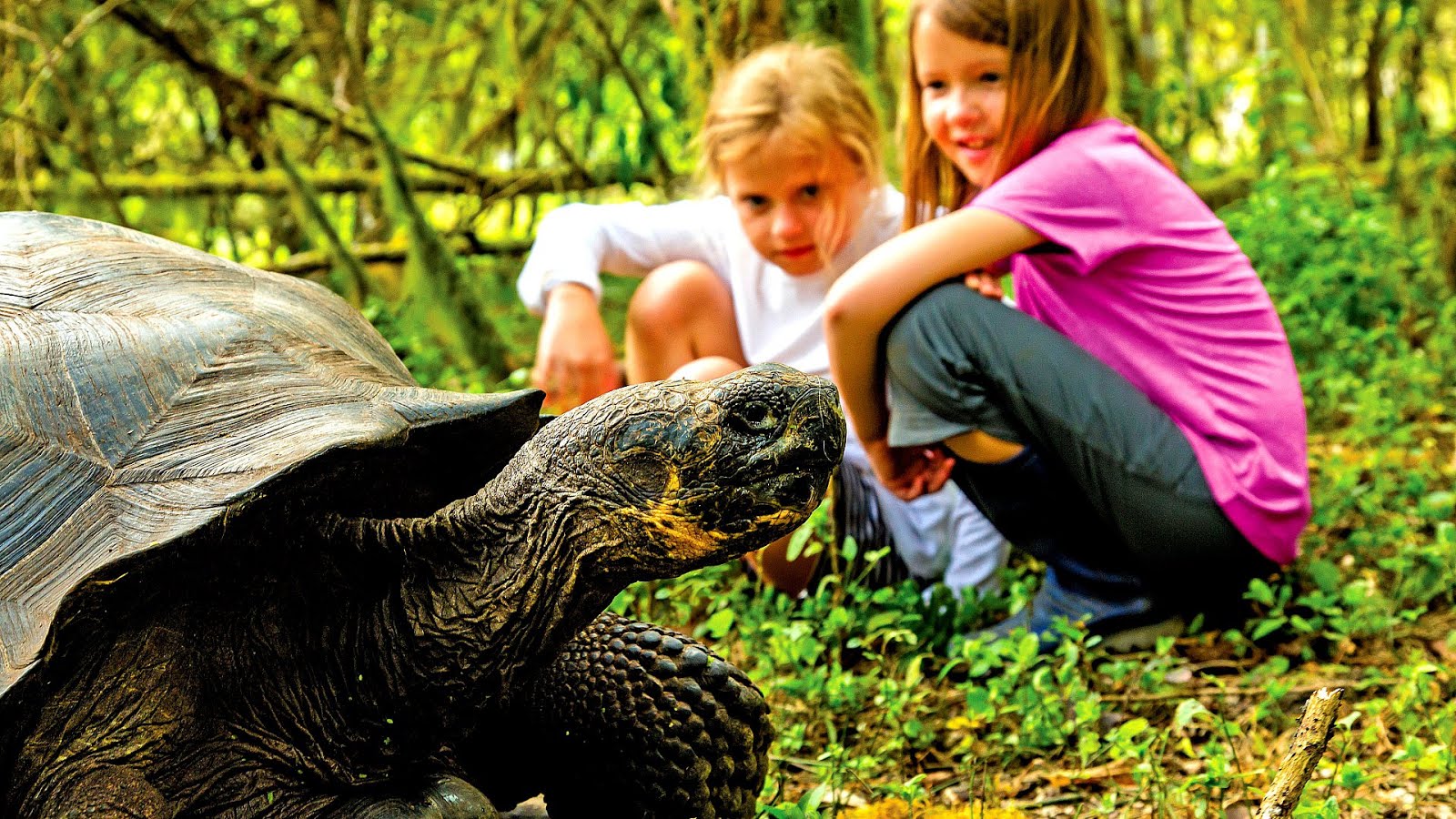 Galapagos Tours National Geographic Tour Choices Galapagos Tours National Geographic Tour Choices