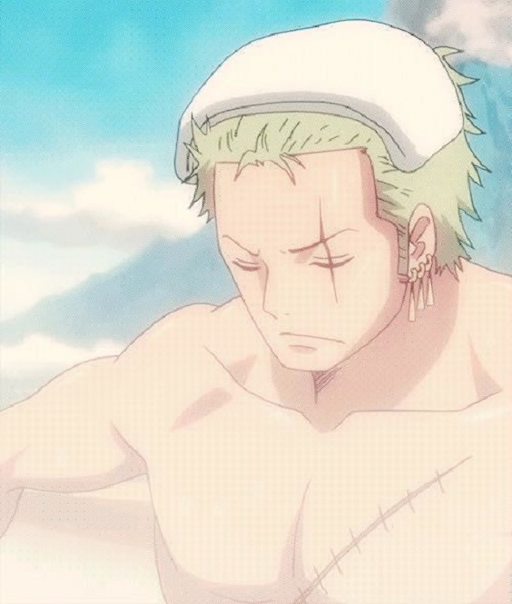 One piece Zoro One piece Zoro