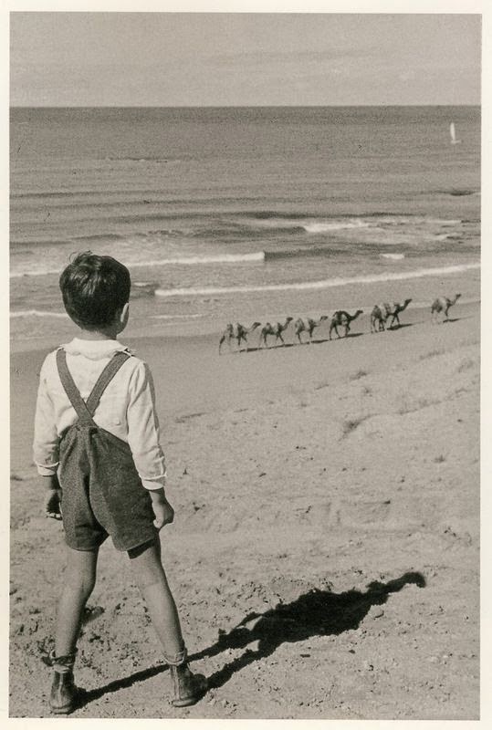 Biografía de Fotógrafos: BIOGRAFIA DE WALTER PETERHANS.