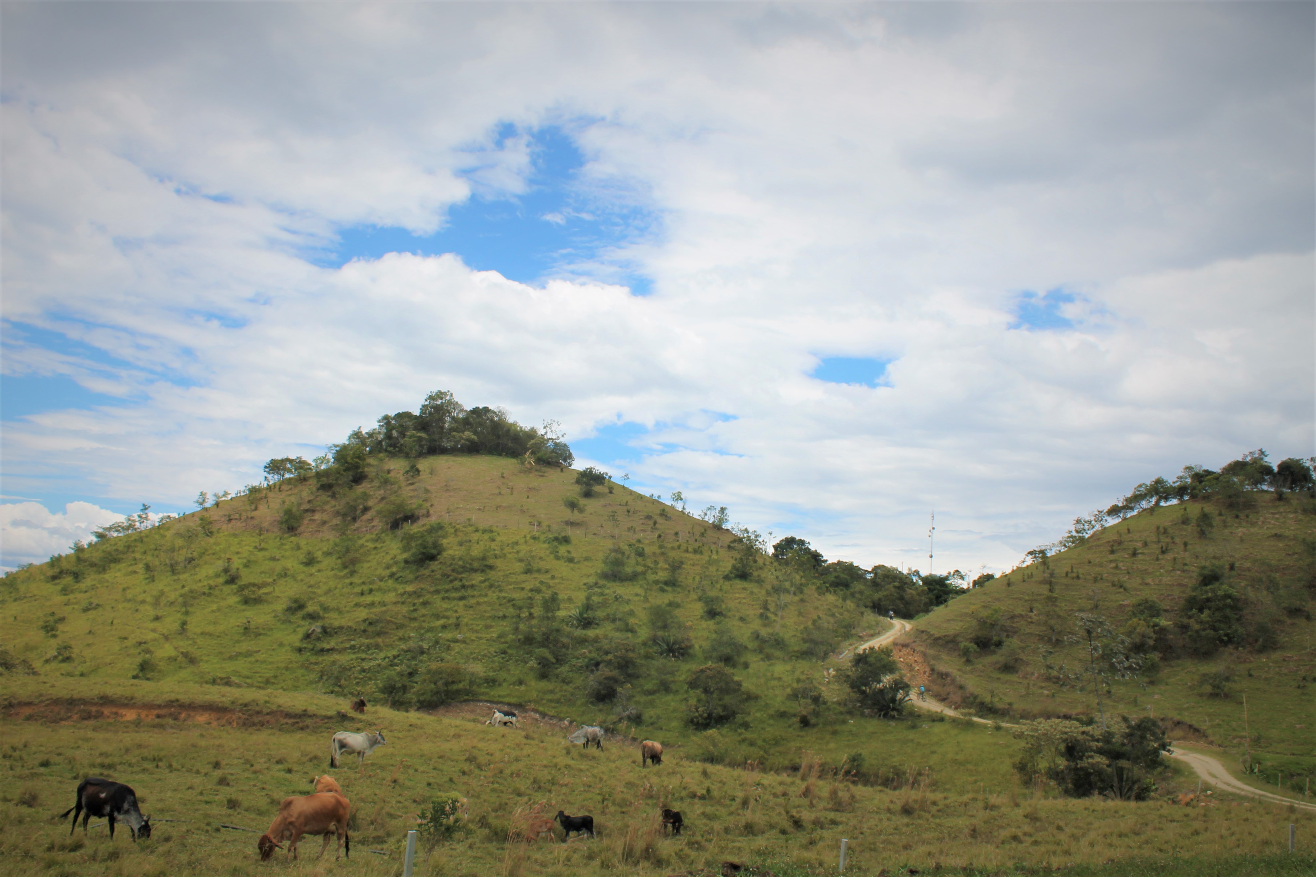 Centro Poblado Tres Esquinas La Morra El Bosque, Gigante Huila