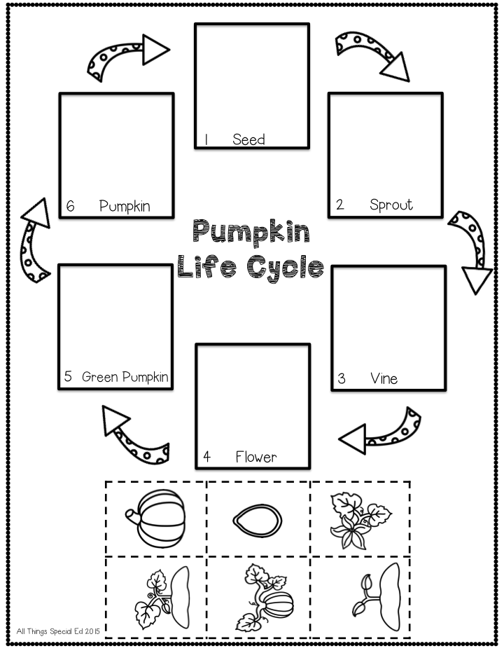 life-cycle-of-pumpkin-printable