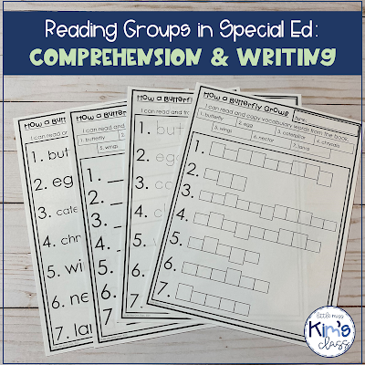 Reading Groups in Special Education: Writing and Comprehension