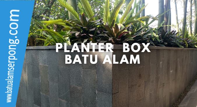 planter box