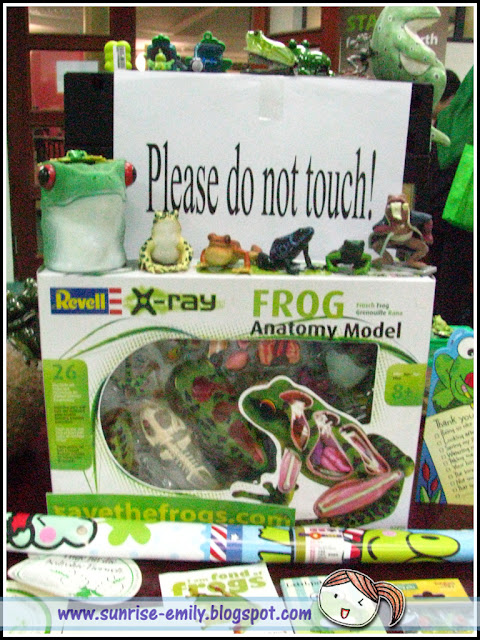 The International Bornean Frog Race 2014, Kuching Sarawak