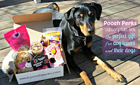 doberman mix rescue dog with pooch perks box