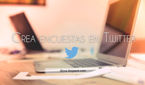 twitter, encuesta, poll