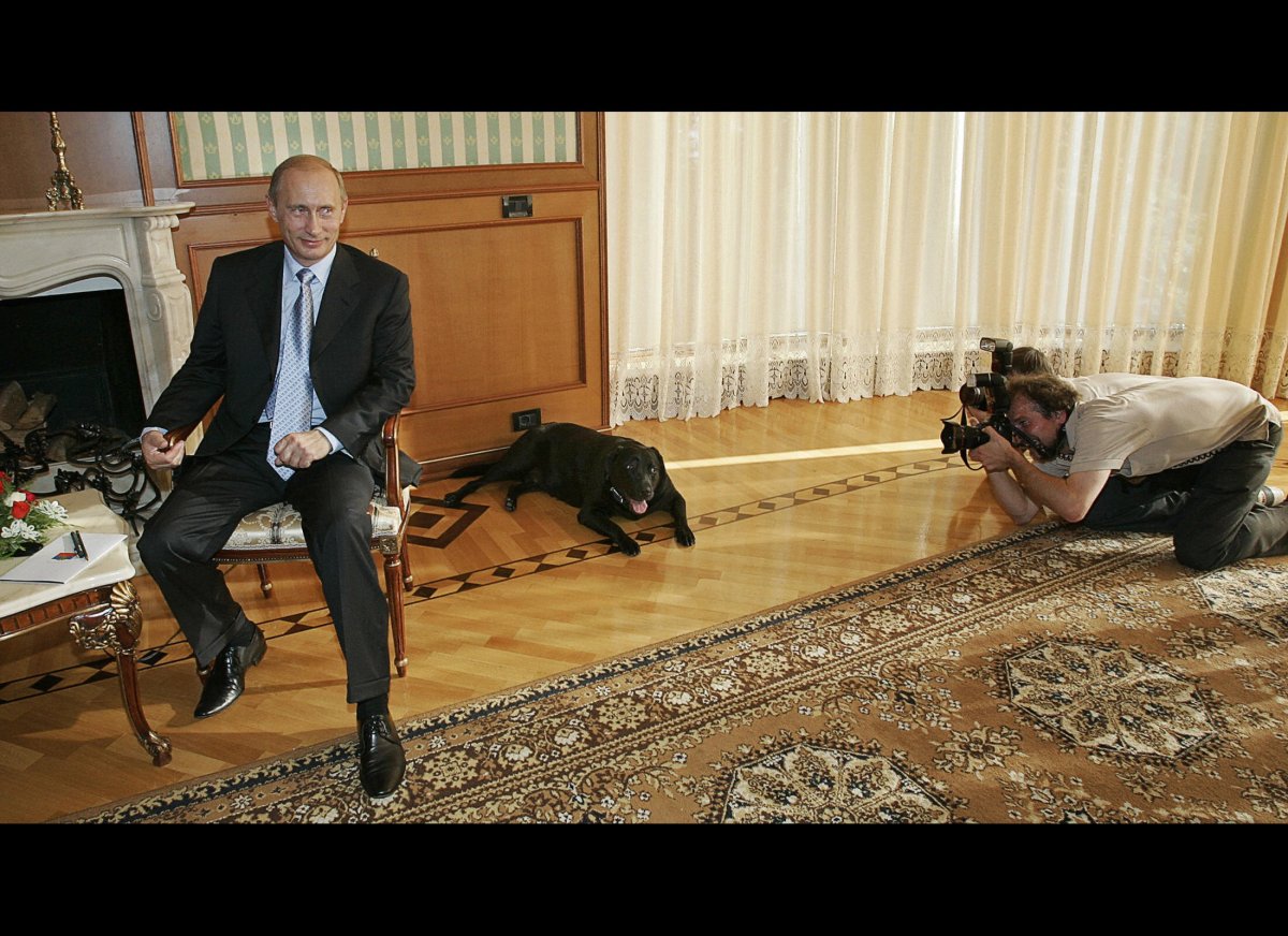 Захват стола. Собака Путина.