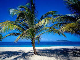 HD wallpapers Seashore