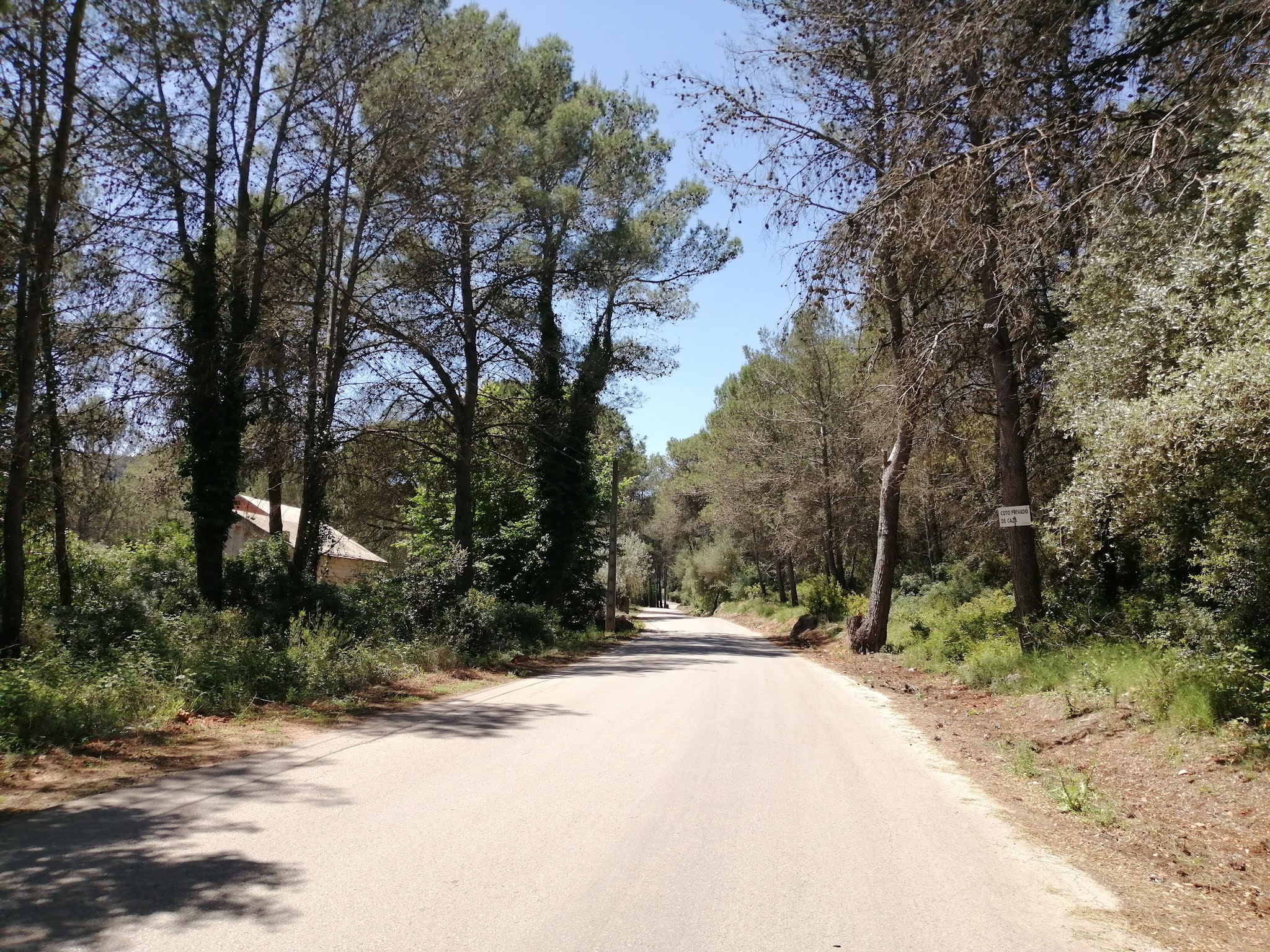 The road through la Llacuna, Valencia, Spain The road through la Llacuna, Valencia