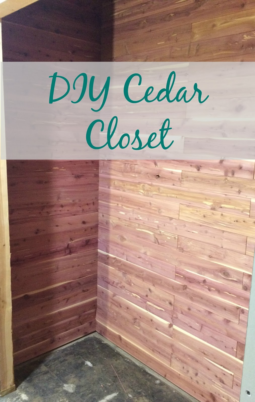 Real Girl's Realm: DIY Cedar Lined Closet