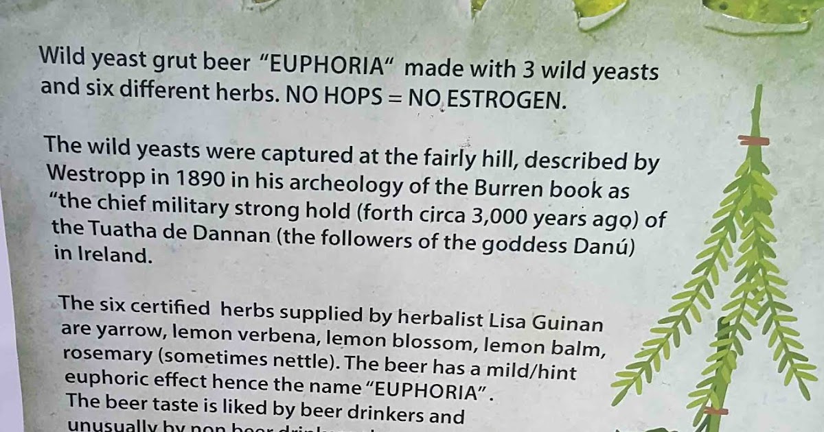 Taste of the Week. Amazing nohops beer from the Burren