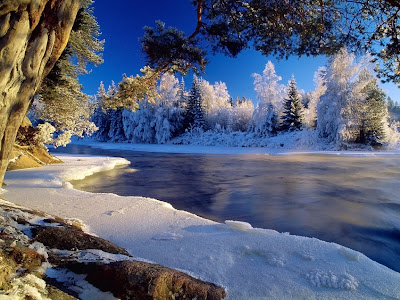 http://1.bp.blogspot.com/-EMzOqF1b8Wo/T7j7Im8_Y4I/AAAAAAAAAHg/kJbbf82GXgs/s1600/Winter_wallpapers_Winter.jpg