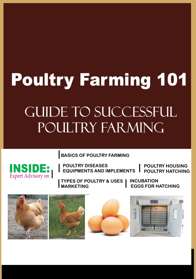 Poultry Farming 101