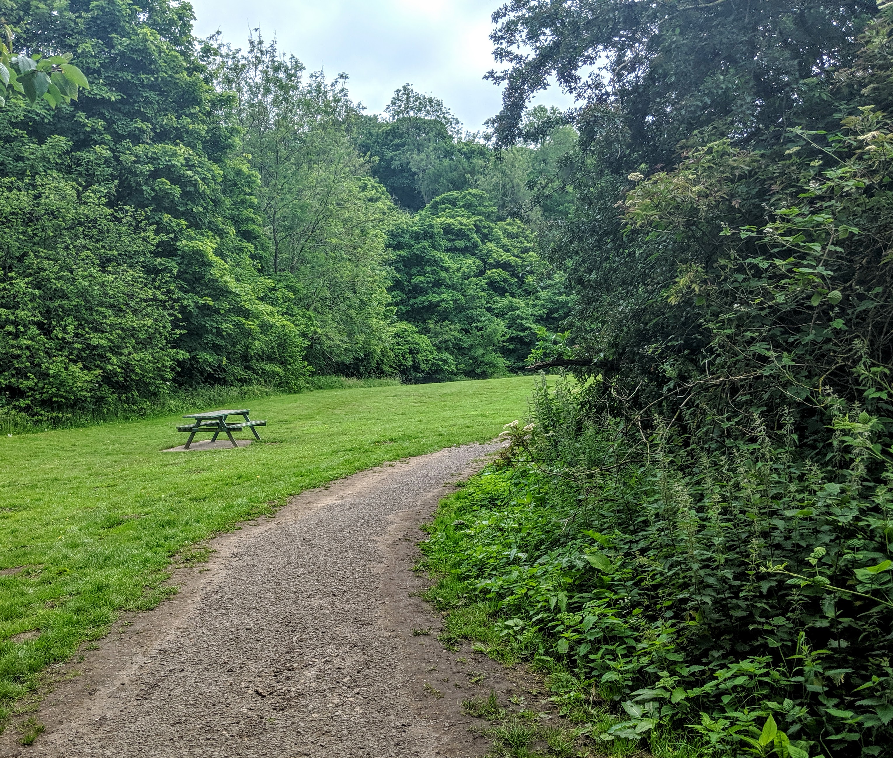 Bedlington Country Park Riverside Walk & Stepping Stones    - picnic tables