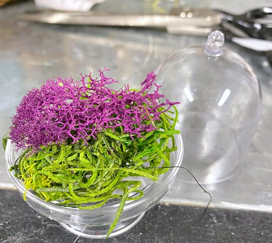 mini cloche with moss