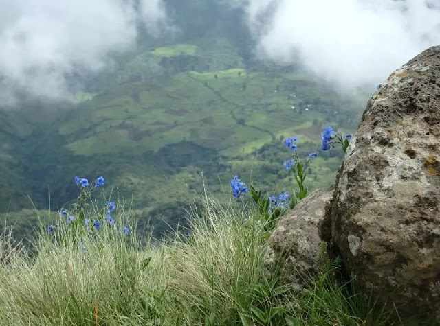 Simien Mountains National Park in Addis Ababa Simien Mountains National Park in Addis Ababa