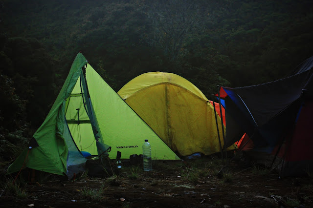 Solo Trip : Catatan Pendakian Gunung Dempo dari Jakarta