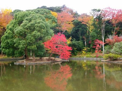 鶴岡八幡宮の紅葉