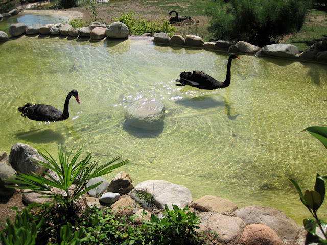 Аквапарк Marineland