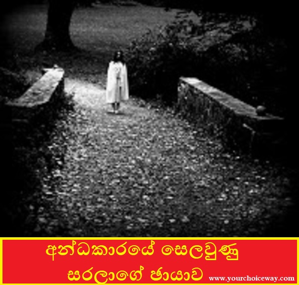 අන්ධකාරයේ සෙලවුණු සරලාගේ ඡායාව (Sarala) - Your Choice Way