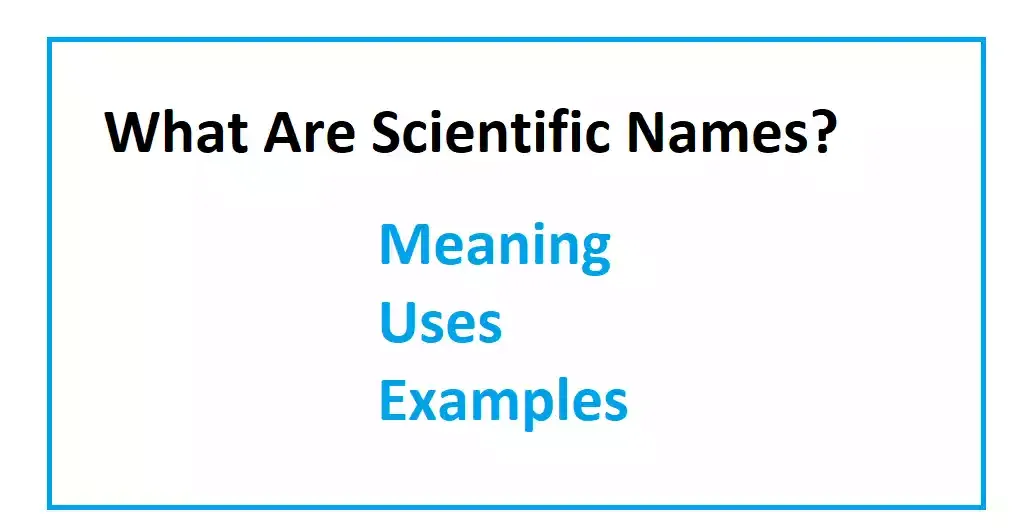 What Are Scientific Names? Meaning, Uses, And Examples