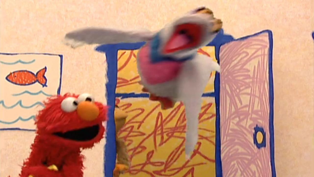 Elmo's World Birds