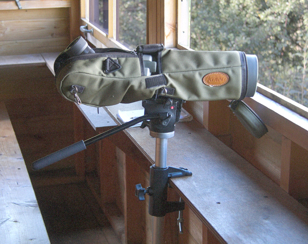 Nature Photography With Magnification Manfrotto 349 Hide Clamp nature-photography-with-magnification-manfrotto-349-hide-clamp