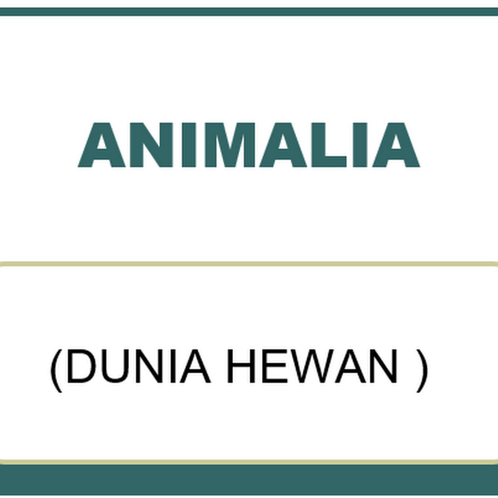 Animalia Kumpulan Soal Dan Pembahasan Hots Part Ii Animalia Biologi Sma Kelas X