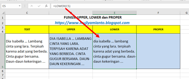 Upper перевод. Upper extremity bones. Anterior tibial artery. Allure am workout routine. Shin bone fibula.