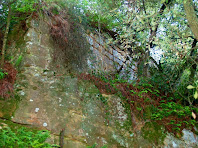 Restes de les antigues muralles en la pujada al Castell de Sant Jaume
