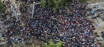 images%2B%25281%2529