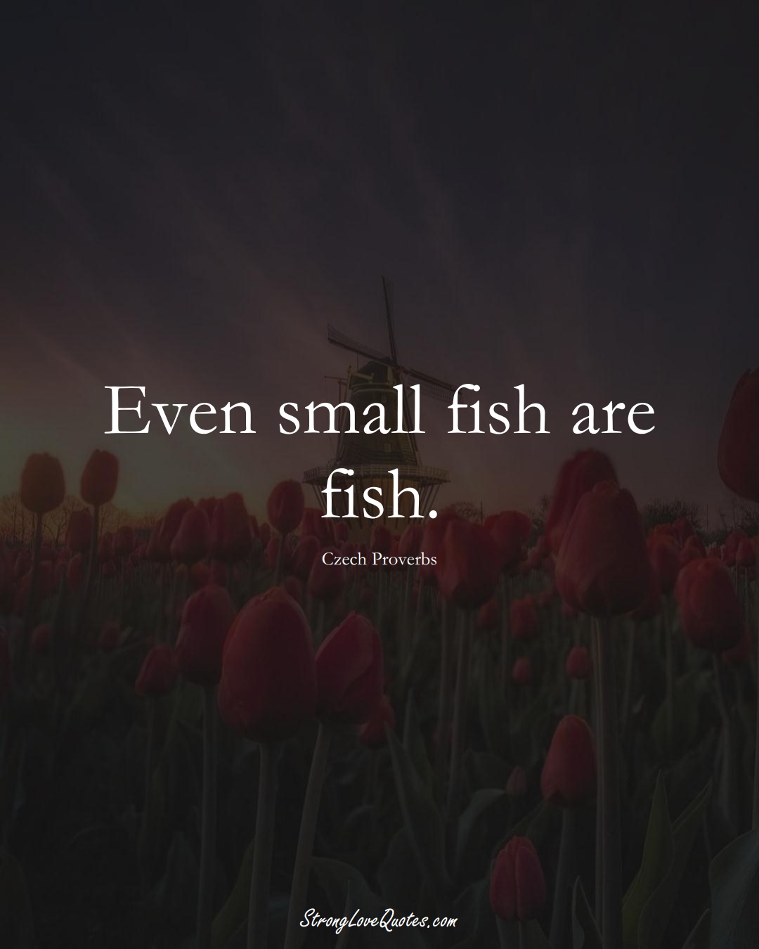 Even small fish are fish. (Czech Sayings);  #EuropeanSayings