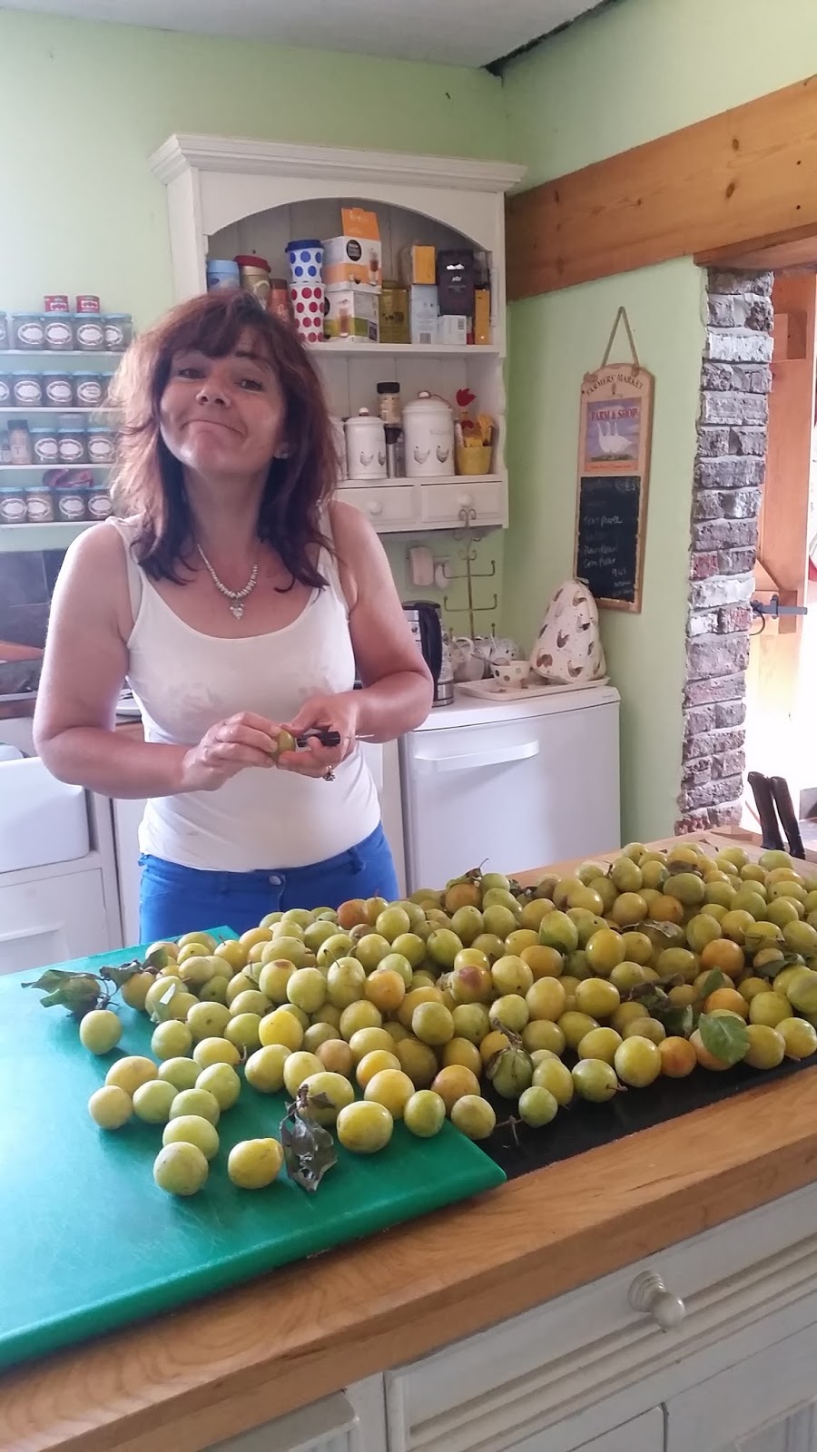 Tales from Swallow Farm Everyone's a Fruit and Nut Case