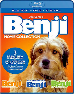 Jodie & julie: twin sisters on instagram: “what’s been keeping me up at night? besides a needy 5 blu-ray and dvd covers: MILL CREEK ENTERTAINMENT BLU-RAYS: THE DOCTOR / STELLA, THE SQUID AND