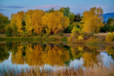 Sunrise and golden leaves reflected on the pond with mountains in the background