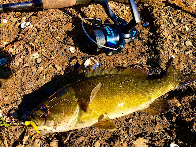 Pittsburgh Fishing North Park Pine Creek