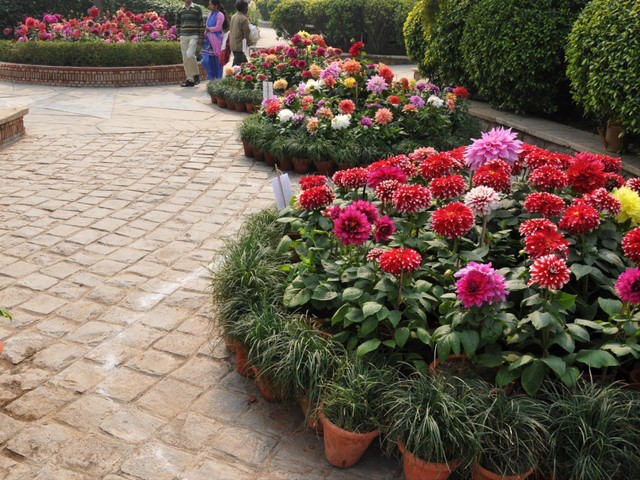 Garden of Five Senses Things To Do In Delhi, India