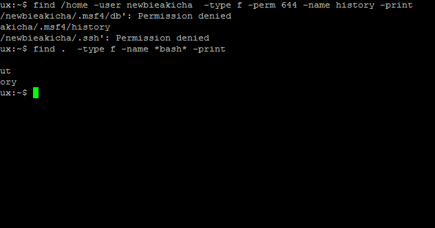 Bash permission denied. Bash permission denied