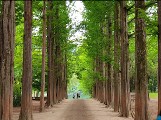 nami island