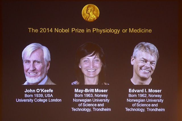 В 2014 году Дж. О’Кифу и супругам Мозер была вручена Нобелевская премия в области физиологии и медицины