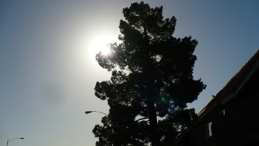 Enfield's Enhanced Environs