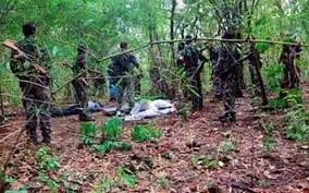 Gadchiroli,Gadchiroli News,Naxalites ,13 Naxalites killed in Gadchiroli police encounter ,