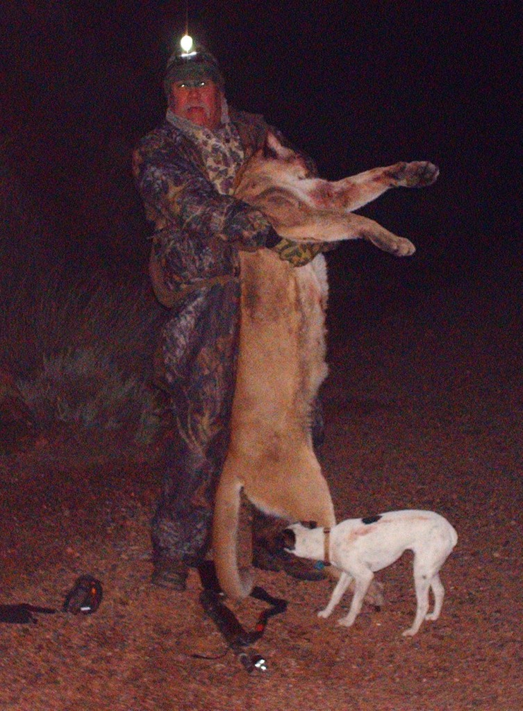 The Adventures of Rizzo New Arizona hunting laws make things a bit