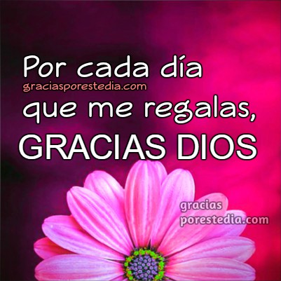 Frases de Agradecimiento a Dios, gratitud, mensajes cortos de Gracias Dios  | Gracias a Dios por Este Día