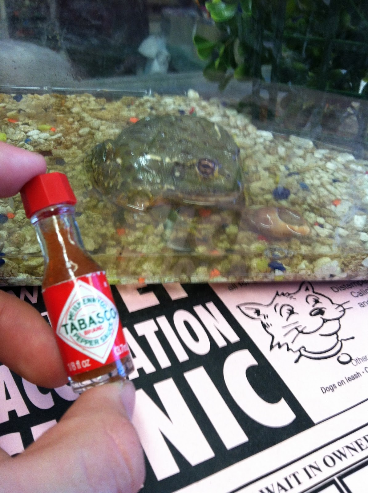 JHS AP Biology Big Idea 4